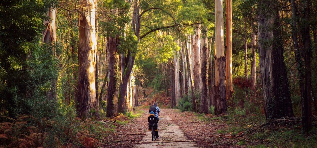 Cycling along the nature